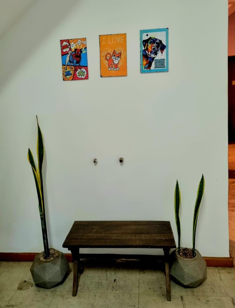 Cool Living Hostel - Praca Da Liberdade بيلو هورزونتي المظهر الخارجي الصورة